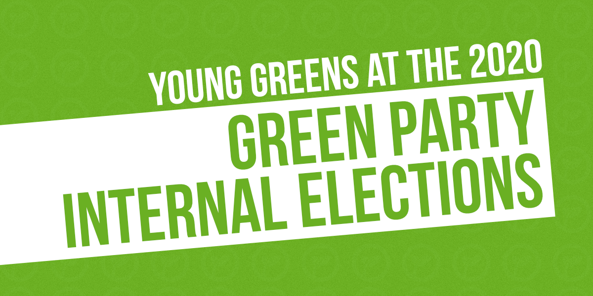 Graphic: Young Greens at the 2020 Green Party Internal Elections