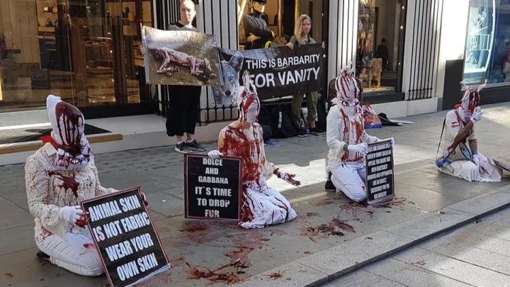 Animal rights protesters dressed in dust suits with fake blood. A banner reads 