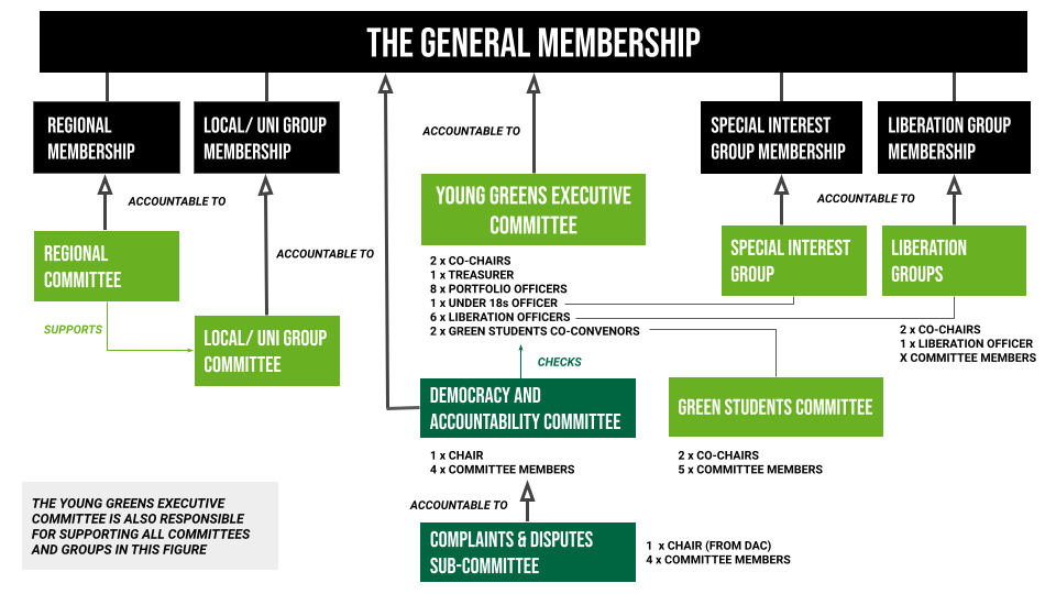 Graphic that shows the Young Greens structures.