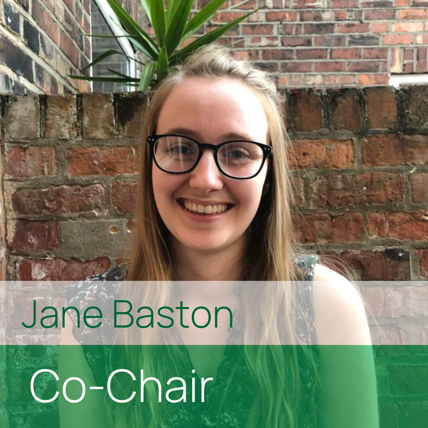Photo of Jane Baston smiling to camera. Text: Jane Baston, Ch-Chair